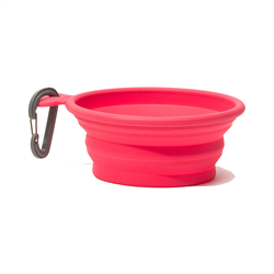 Messy Mutts Silicone Collapsible Bowl 3 Cups, Med, Watermelon